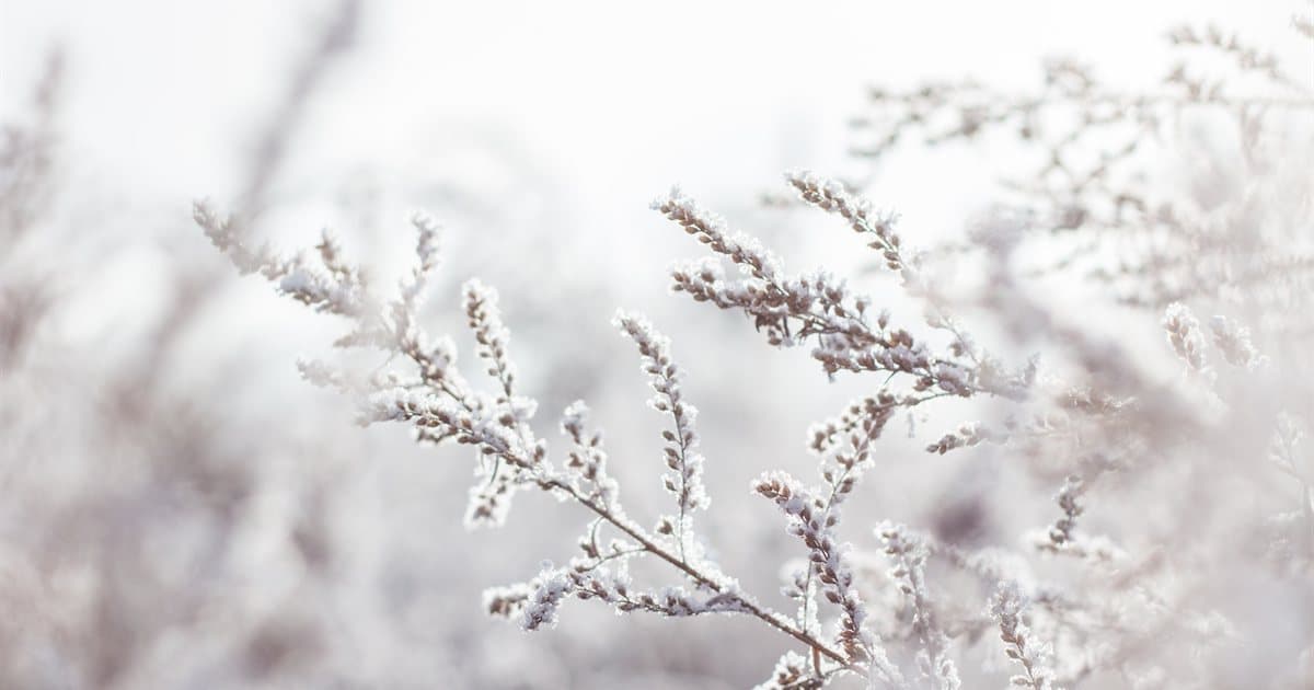 Hiver : Comment ne pas tomber malade