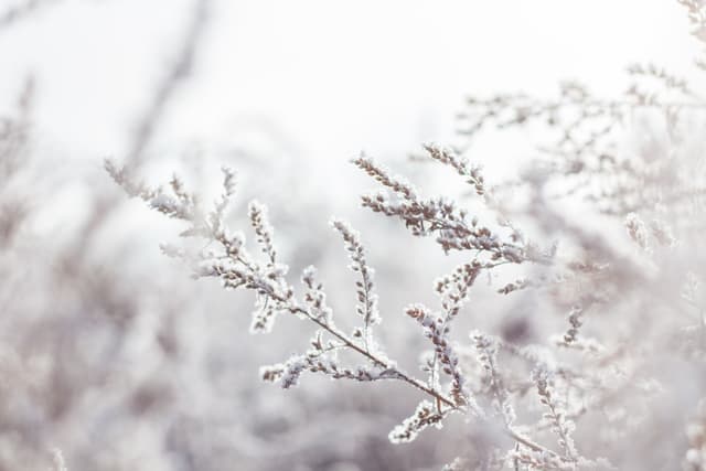 Conseils santé hiver : renforcer son immunité naturellement